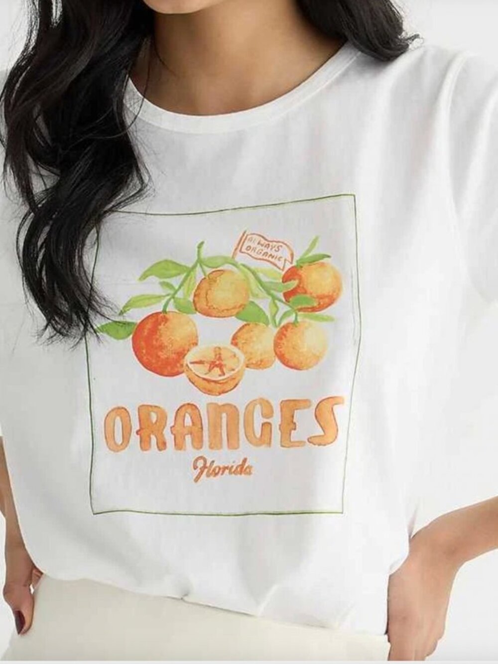 J Crew NWT XL Painted Florida "Always Organic" Oranges Graphic T-Shirt - Picture 3 of 6